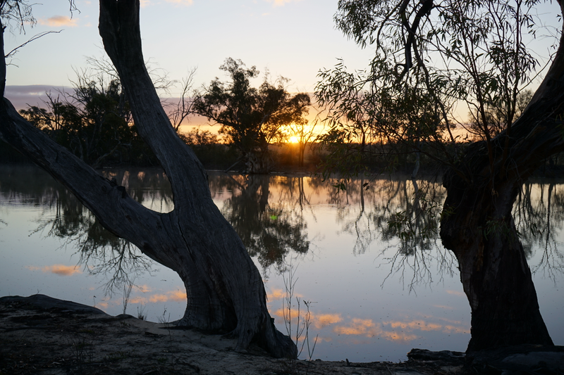 Illustration for article titled Roamin' the Riverland.